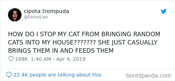 Cat-Tweets Cat-Tweets