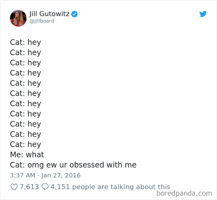 Cat Tweets Cat Tweets