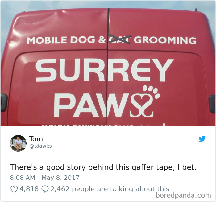 Cat Tweets Cat Tweets