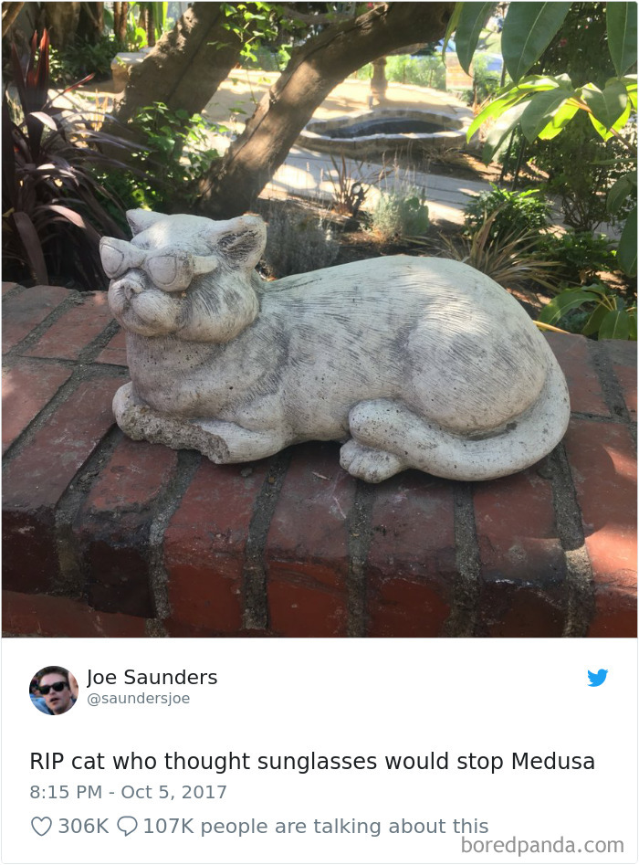 Cat Tweets Cat Tweets