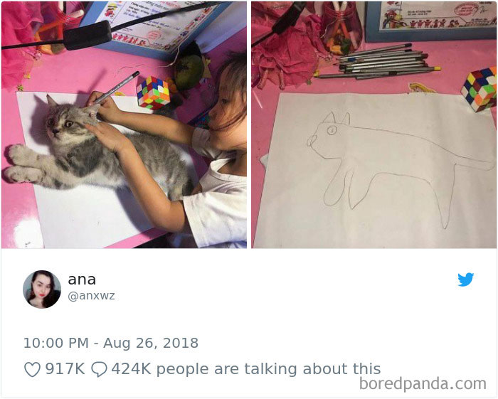 Cat Tweets Cat Tweets