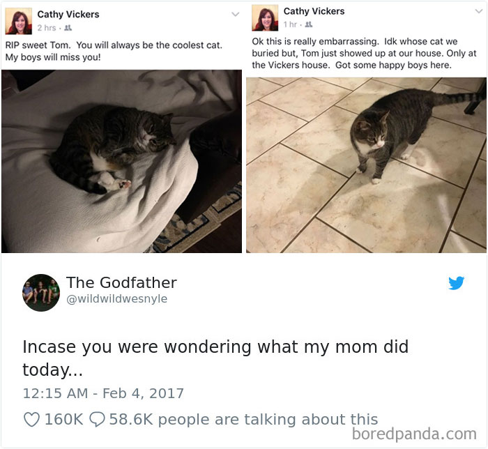 Cat Tweets Cat Tweets