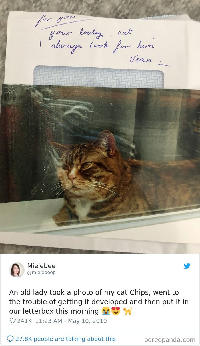 Cat-Tweets Cat-Tweets