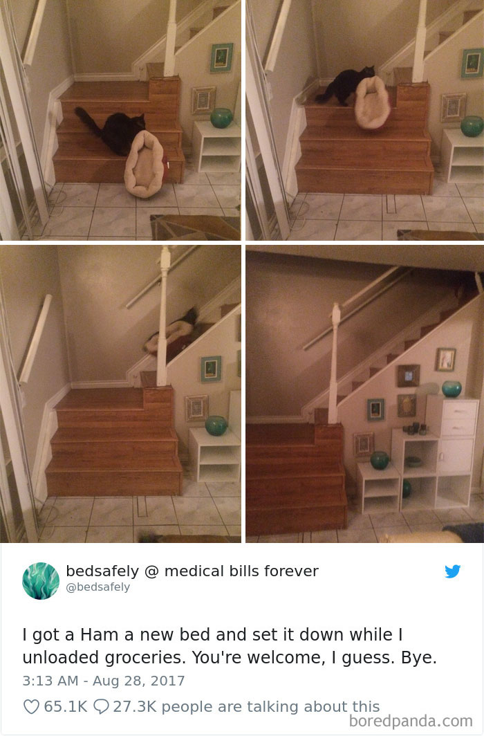 Cat Tweets Cat Tweets