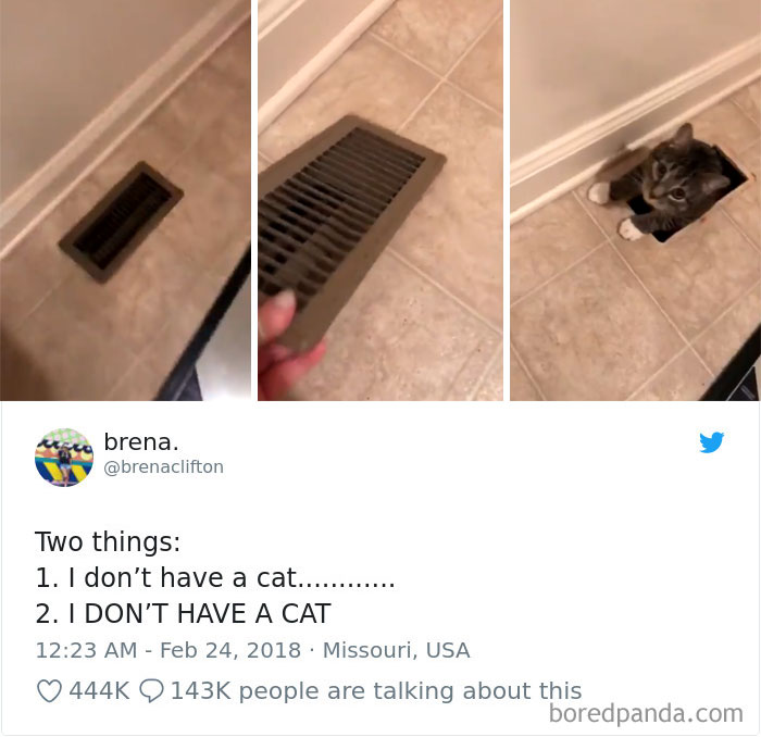 Cat Tweets Cat Tweets