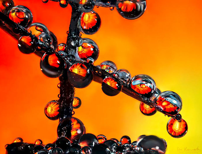 Water Droplets Water Droplets