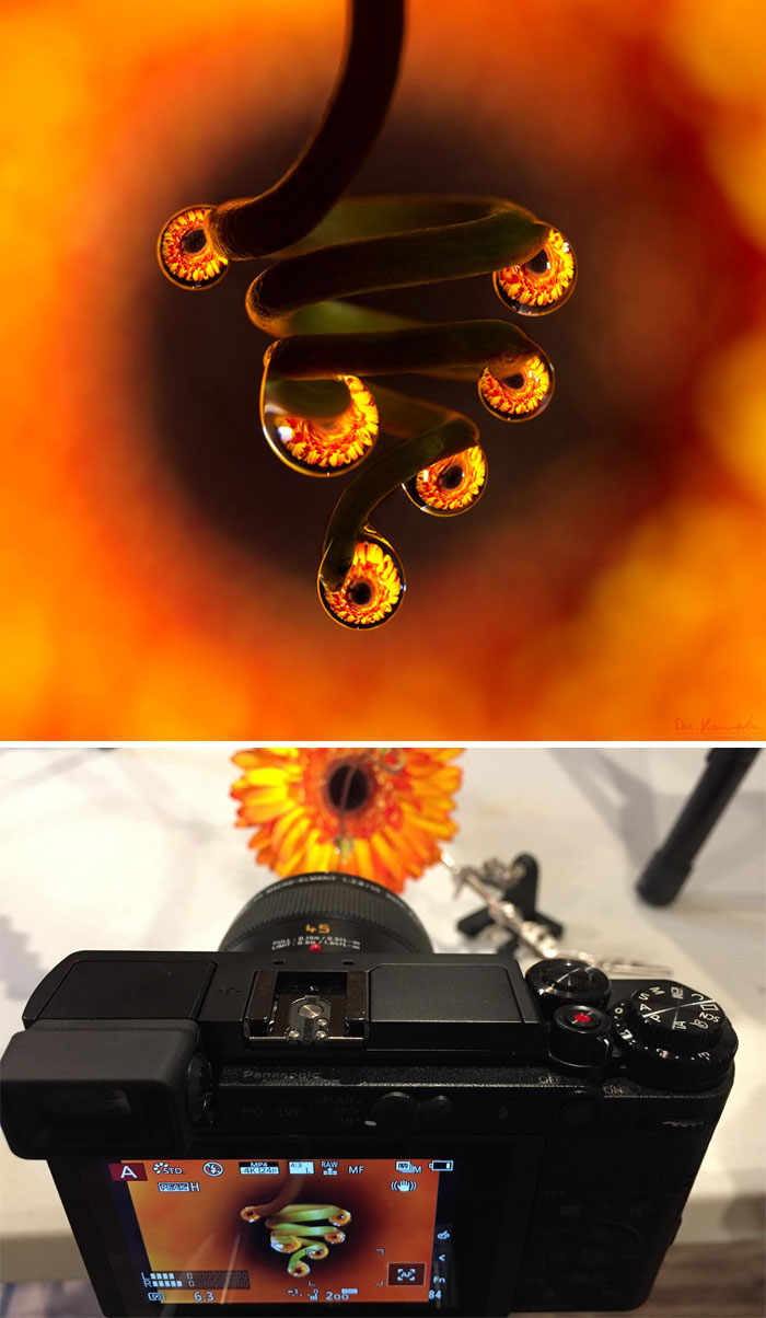 Corkscrew Chandelier Corkscrew Chandelier