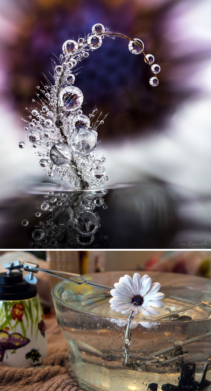 Essence Of Reviere Essence Of Reviere