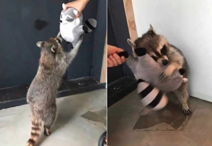 19 Animals in Love That Can Melt Even a Frozen Heart (New Pics)