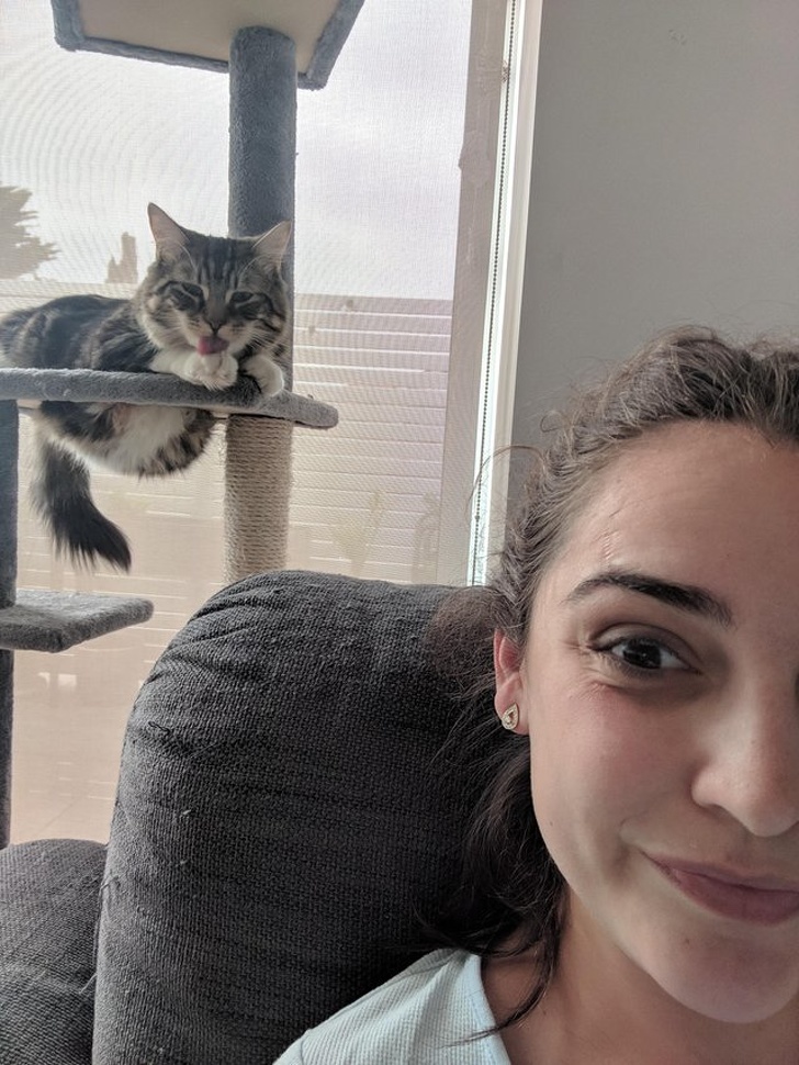 31 Animal Photos That Can Make You Feel Warm Even on a Freezing Day