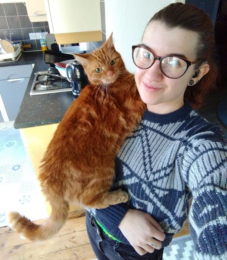 31 Animal Photos That Can Make You Feel Warm Even on a Freezing Day