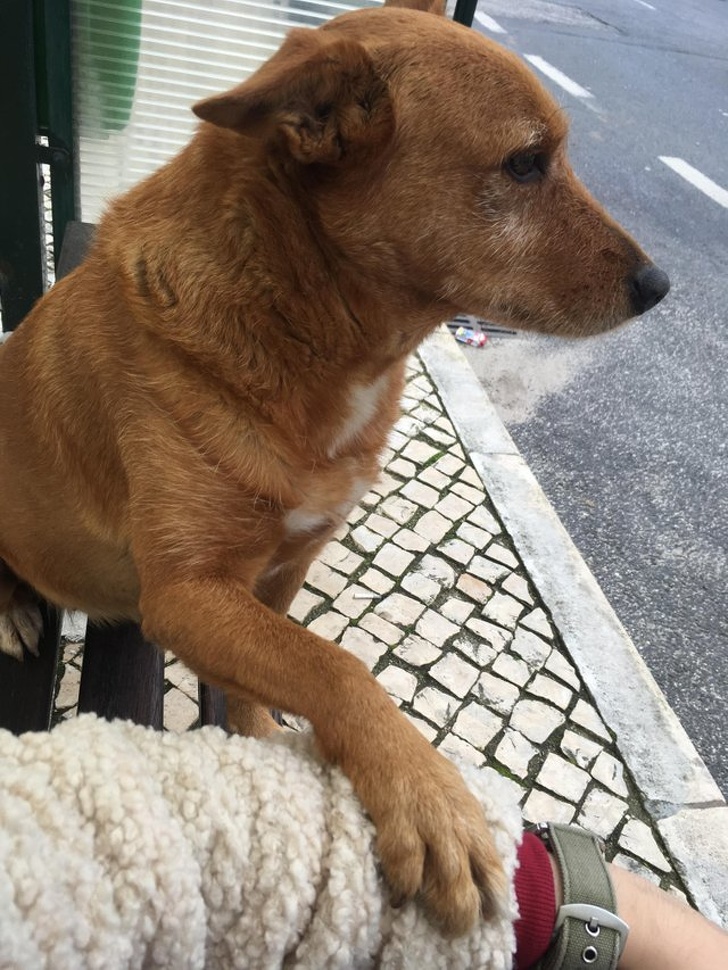 31 Animal Photos That Can Make You Feel Warm Even on a Freezing Day