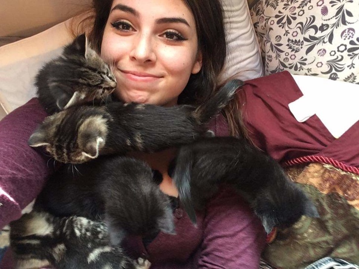 31 Animal Photos That Can Make You Feel Warm Even on a Freezing Day