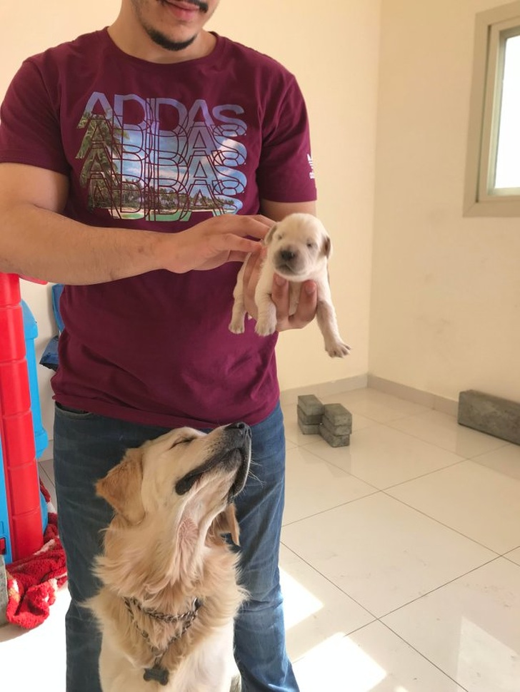 31 Animal Photos That Can Make You Feel Warm Even on a Freezing Day