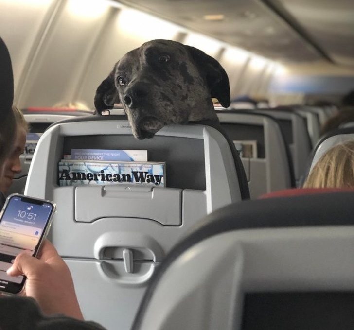 31 Animal Photos That Can Make You Feel Warm Even on a Freezing Day