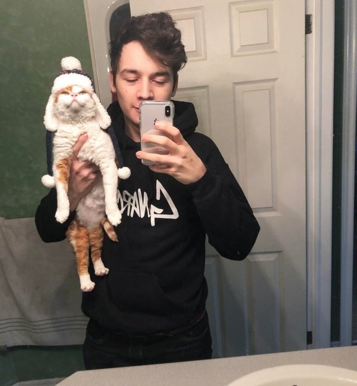 31 Animal Photos That Can Make You Feel Warm Even on a Freezing Day