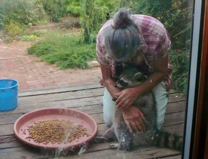 31 Animal Photos That Can Make You Feel Warm Even on a Freezing Day