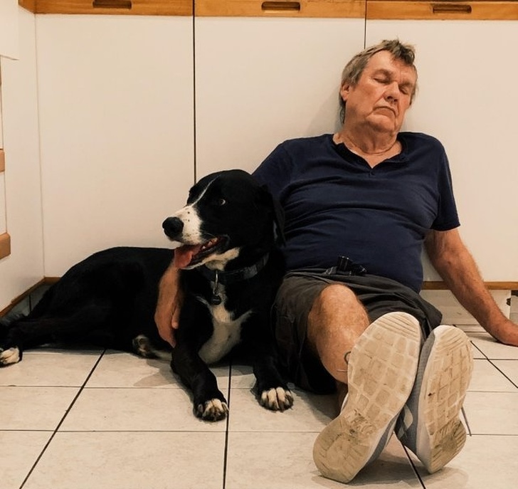 31 Animal Photos That Can Make You Feel Warm Even on a Freezing Day