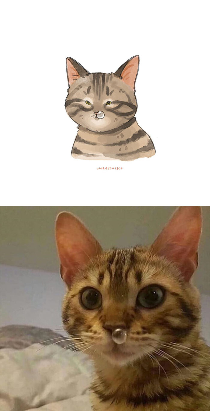 Digital-Watercolor-Cat-Paintings-Watercatlor Digital-Watercolor-Cat-Paintings-Watercatlor