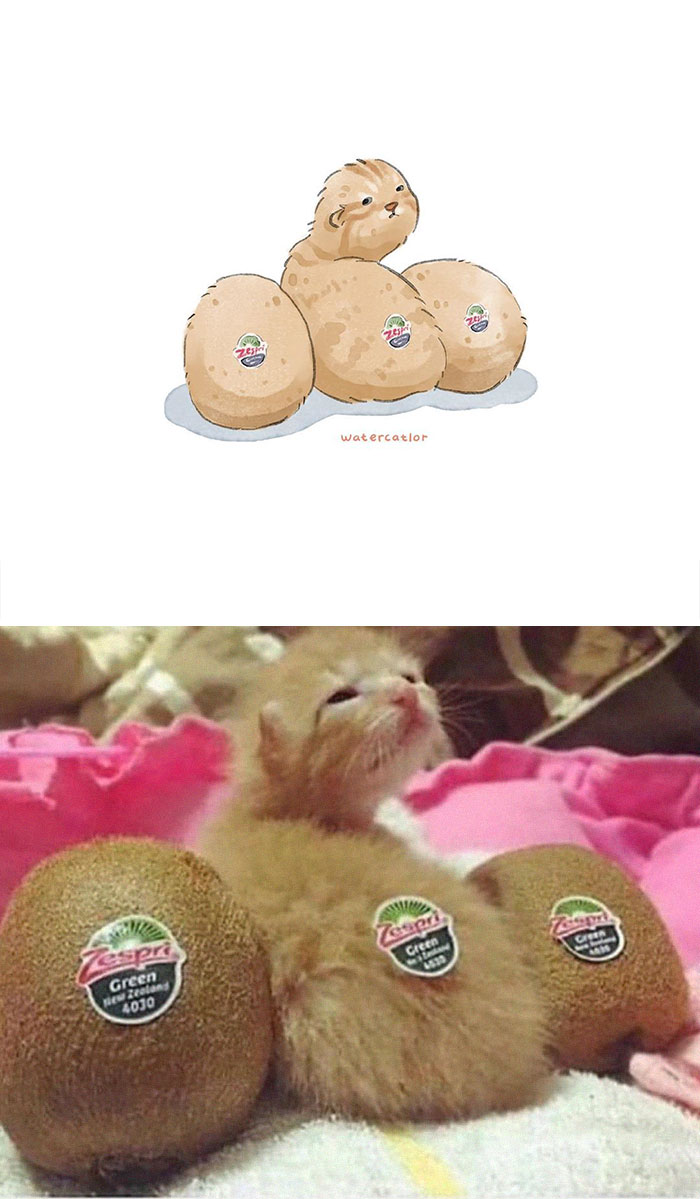 Digital-Watercolor-Cat-Paintings-Watercatlor Digital-Watercolor-Cat-Paintings-Watercatlor