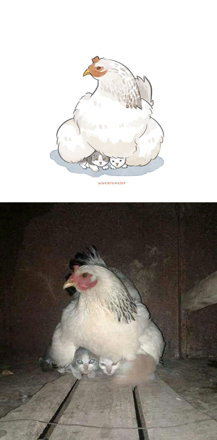 Digital-Watercolor-Cat-Paintings-Watercatlor Digital-Watercolor-Cat-Paintings-Watercatlor