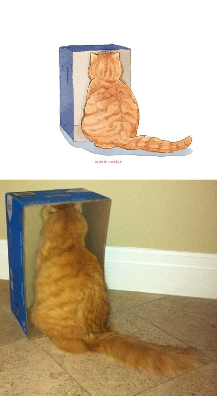 Digital-Watercolor-Cat-Paintings-Watercatlor Digital-Watercolor-Cat-Paintings-Watercatlor