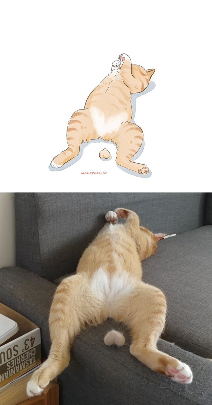 Digital-Watercolor-Cat-Paintings-Watercatlor Digital-Watercolor-Cat-Paintings-Watercatlor