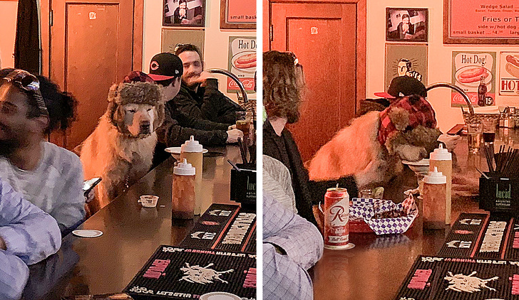 21 Animals That Behave Just Like People, and It’s So Funny It Hurts