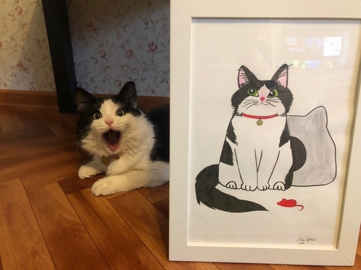 21 Animals That Behave Just Like People, and It’s So Funny It Hurts