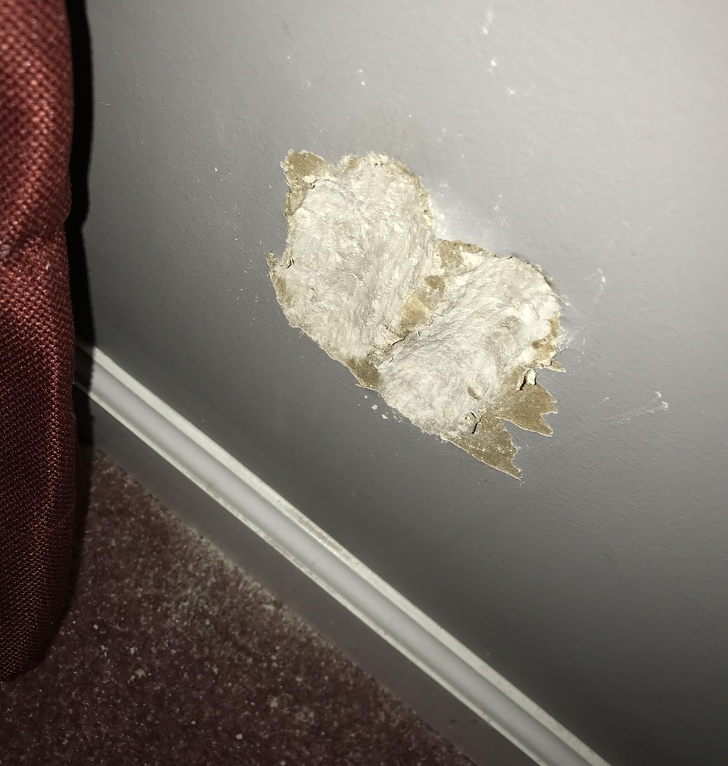 16 Pet Owners Reveal the Strangest Photos of Their Furry Friends