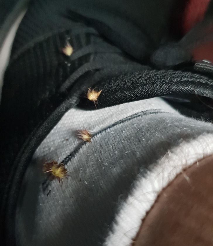 25+ Photos About Clothing Troubles That All of Us Can Understand