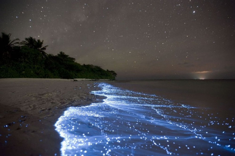 23 utterly amazing natural phenomena that are seemingly impossible