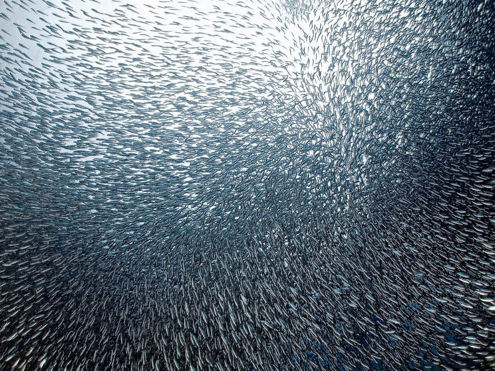 23 utterly amazing natural phenomena that are seemingly impossible