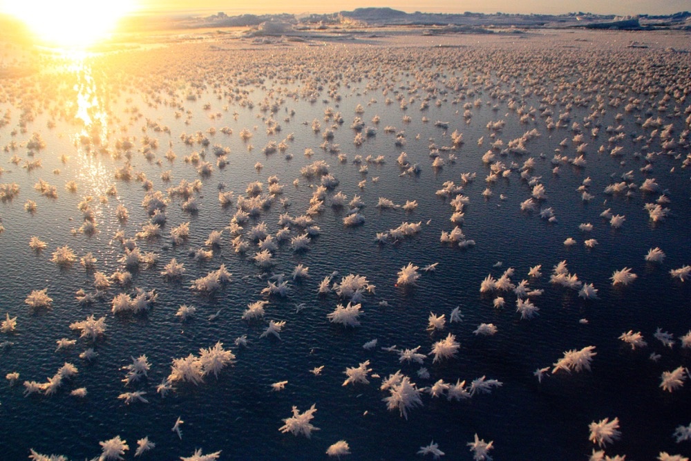 23 utterly amazing natural phenomena that are seemingly impossible