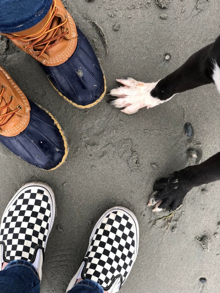 23 Photos Proving Every Family Needs a Pet