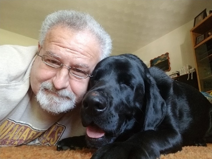 23 Photos Proving Every Family Needs a Pet