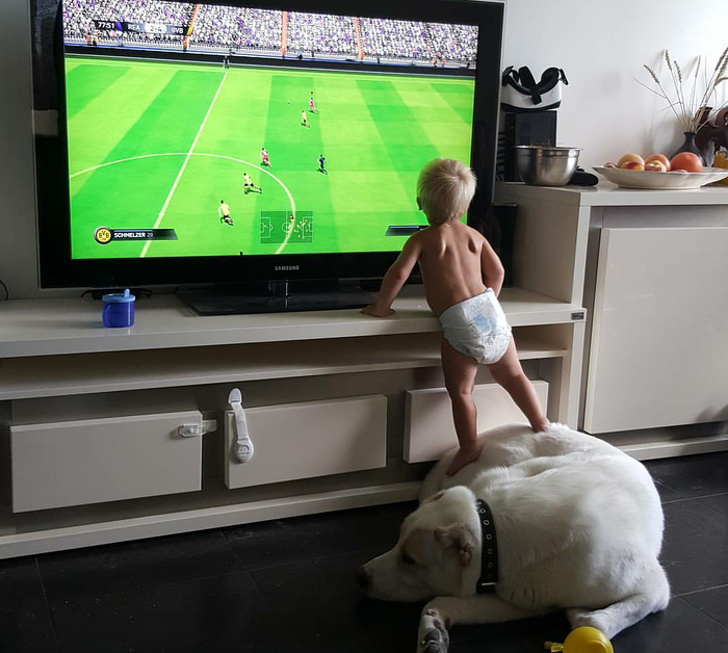 23 Photos Proving Every Family Needs a Pet