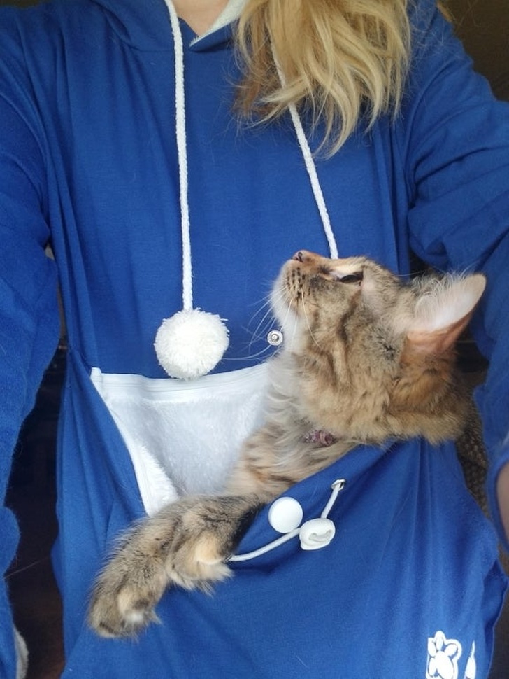 23 Photos Proving Every Family Needs a Pet