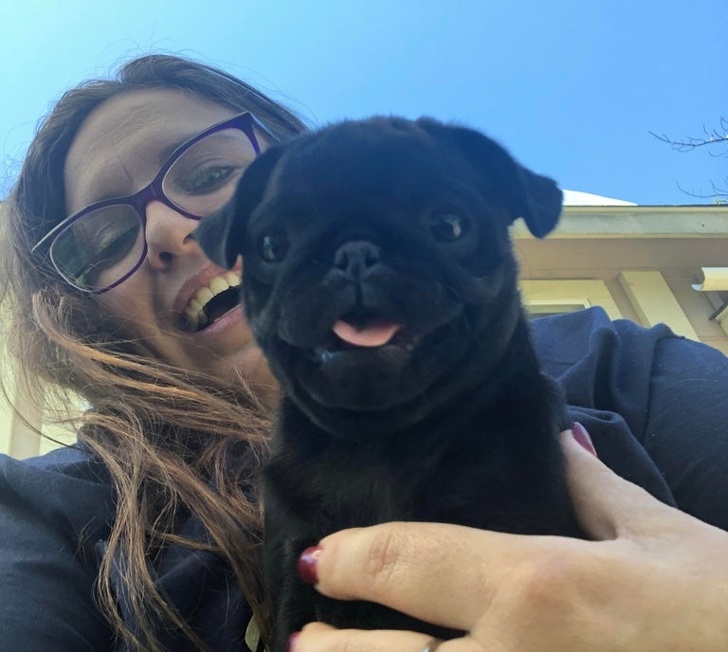 23 Photos Proving Every Family Needs a Pet