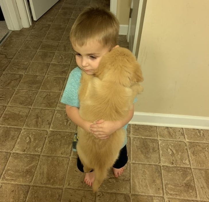 23 Photos Proving Every Family Needs a Pet