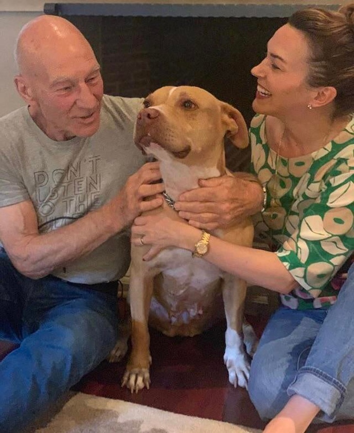 23 Photos That Show How Priceless It Is to Give Homeless Animals a New Life