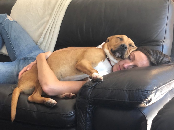 23 Photos That Show How Priceless It Is to Give Homeless Animals a New Life