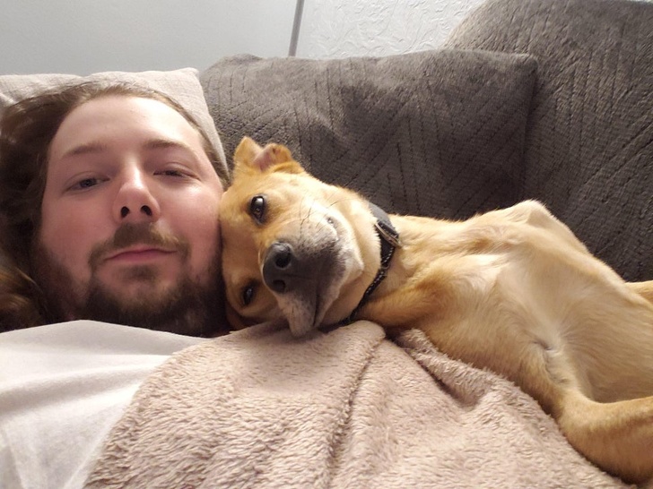 23 Photos That Show How Priceless It Is to Give Homeless Animals a New Life