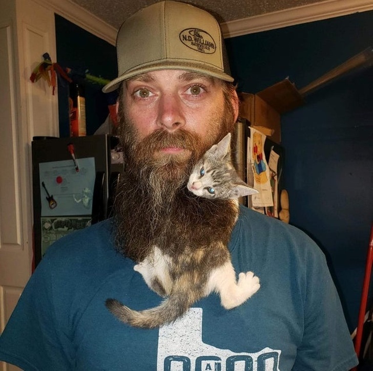 23 Photos That Show How Priceless It Is to Give Homeless Animals a New Life