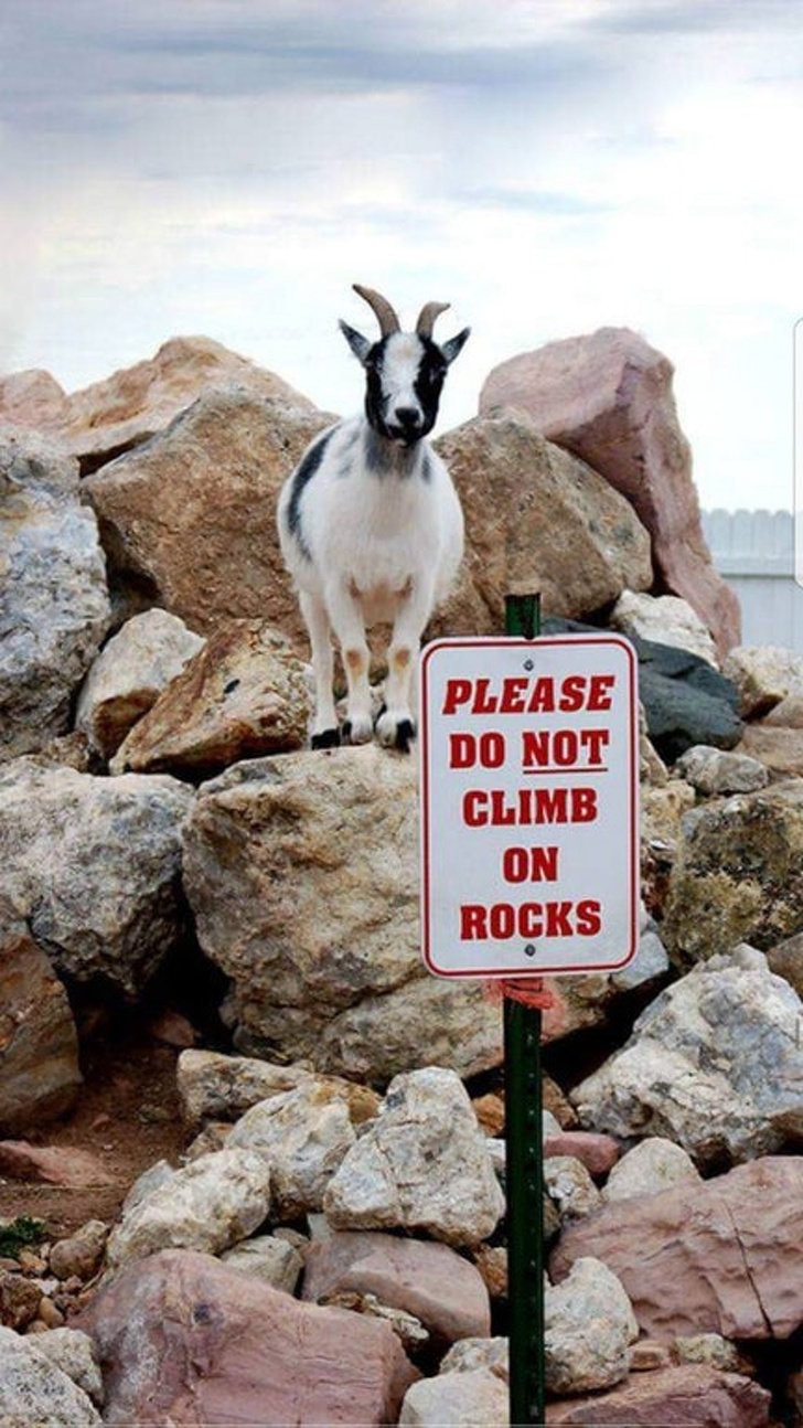 26 People Who Manage to Stay Calm in the Most Crappy Situations