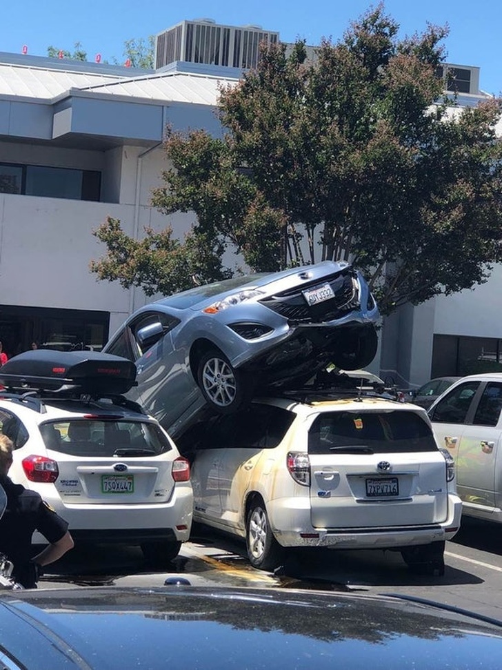 26 People Who Manage to Stay Calm in the Most Crappy Situations