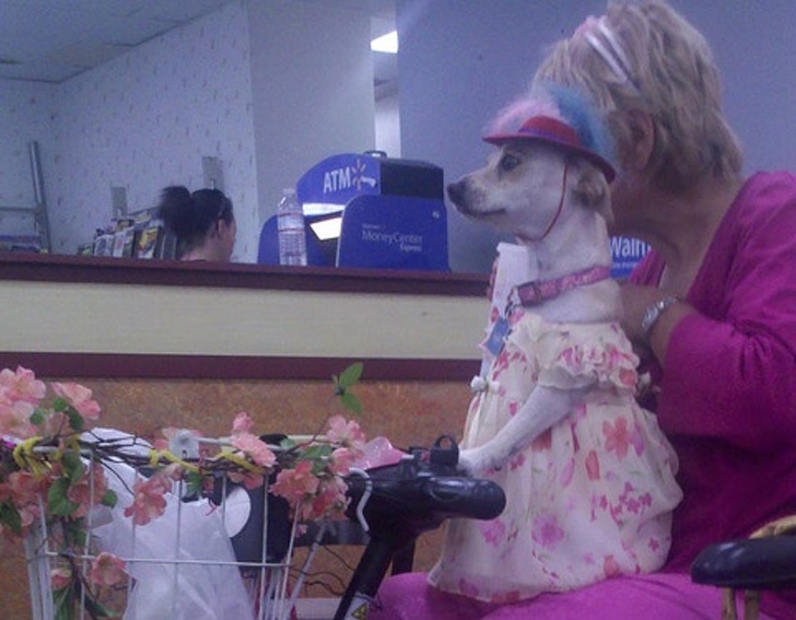 26 People Who Manage to Stay Calm in the Most Crappy Situations