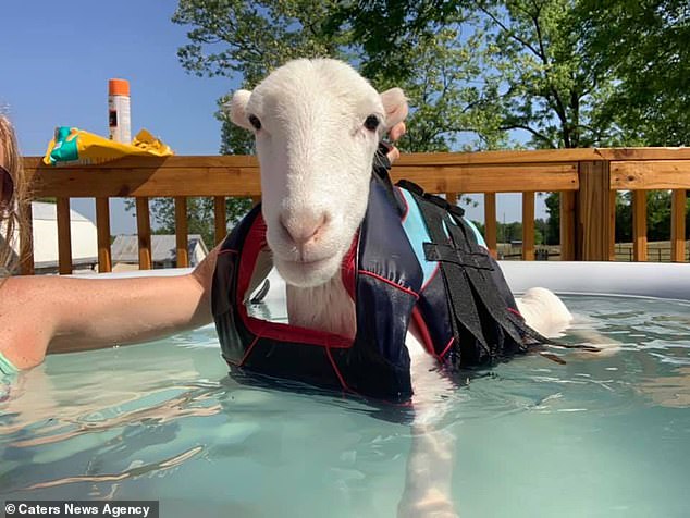 Moko, pictured in the pool, was declared disabled after birth as he wasn