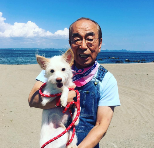 instagrammernews.com