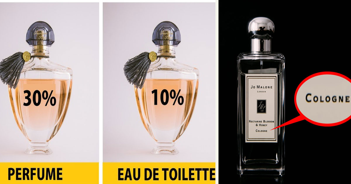 The Difference Between Perfume, Cologne, And Eau De Toilette - Small Joys